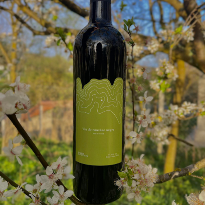 Poza cu Vin de coacăze negre, Poama Boierească, 0.75 l