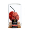 Poza cu ARDEI DESHIDRATAT CAROLINA REAPER