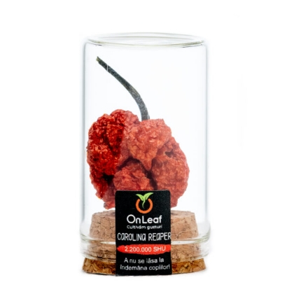 Poza cu ARDEI DESHIDRATAT CAROLINA REAPER