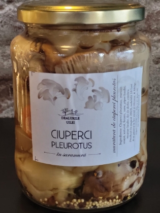 Poza cu Ciuperci pleurotus în saramură, 320 g, Dealurile Uilei