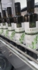 Poza cu ULEI DE MASLINE EXTRA VIRGIN AGOURELEO - 100ML