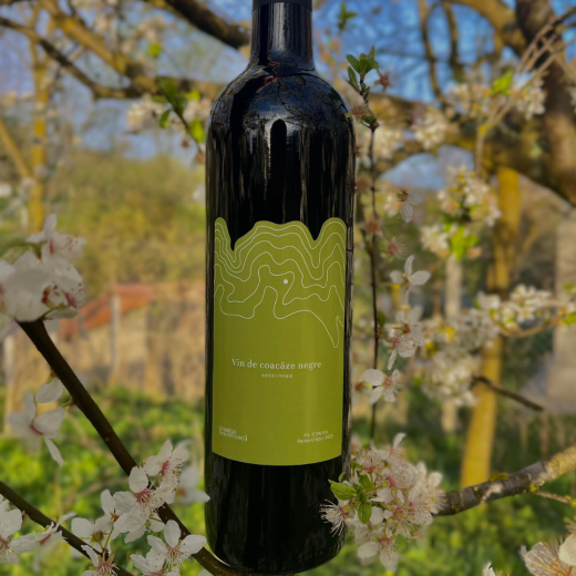 VIN DE COACAZE NEGRE POAMA BOIEREASCA